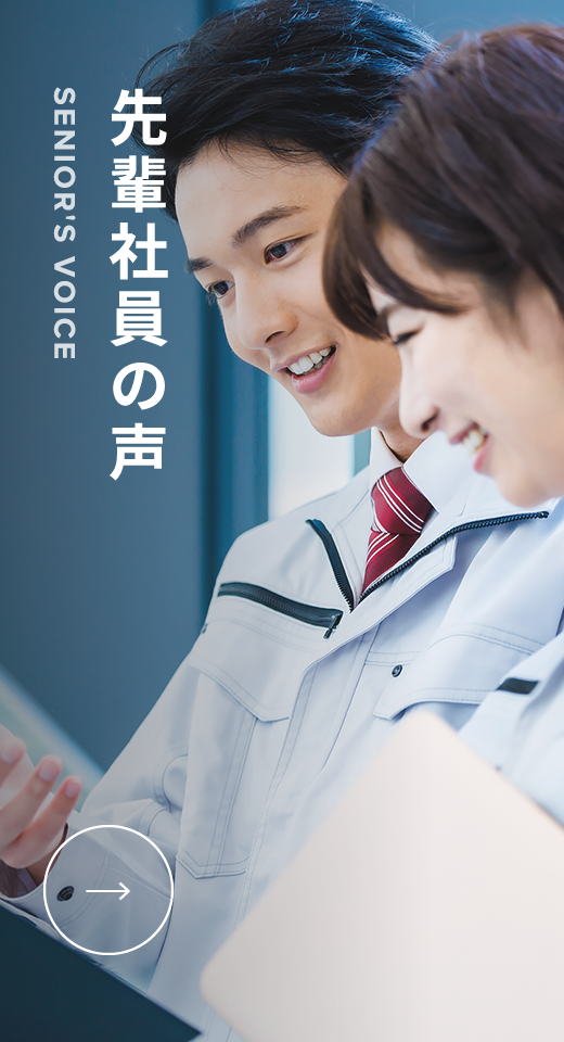 先輩社員の声
